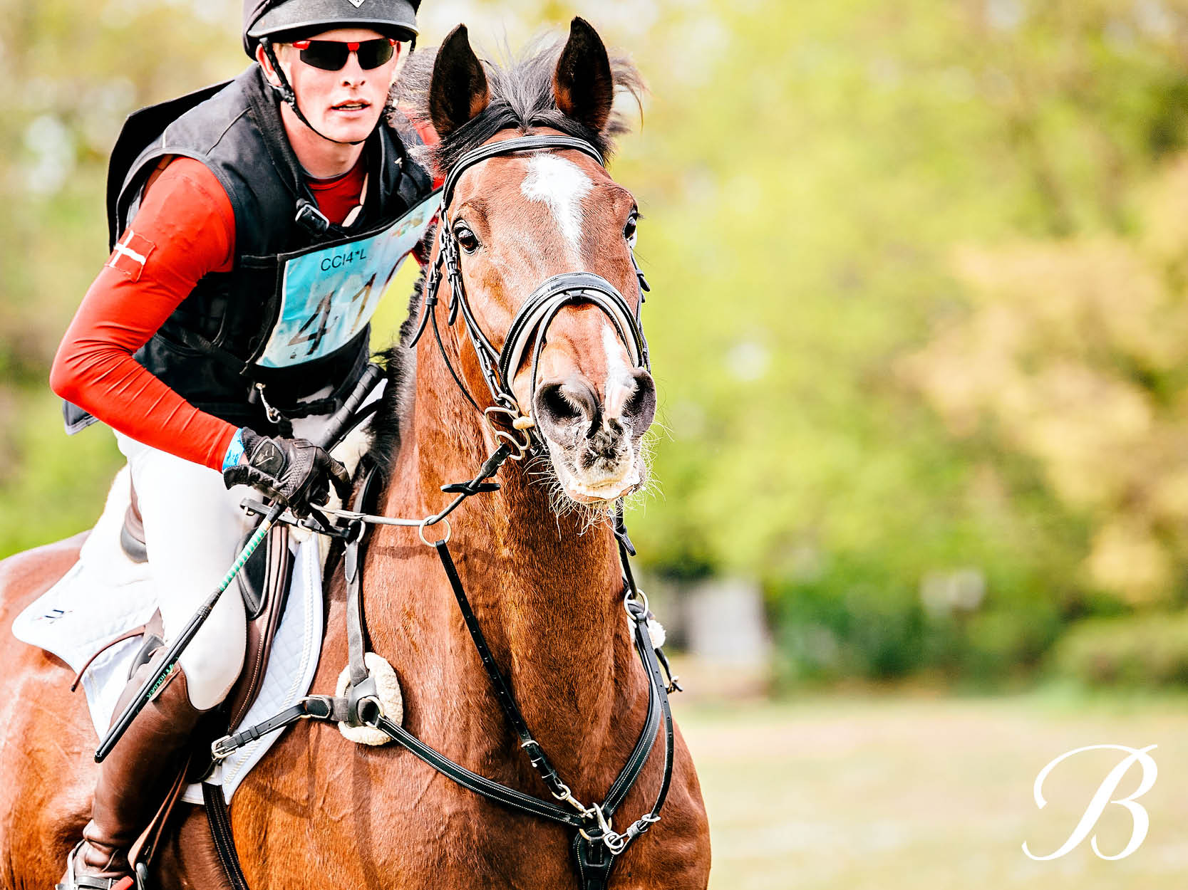 Tobias Jørgensen Eventing gets a special delivery